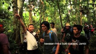 Dibalik Layar Film SOKOLA RIMBA - Bagian 1