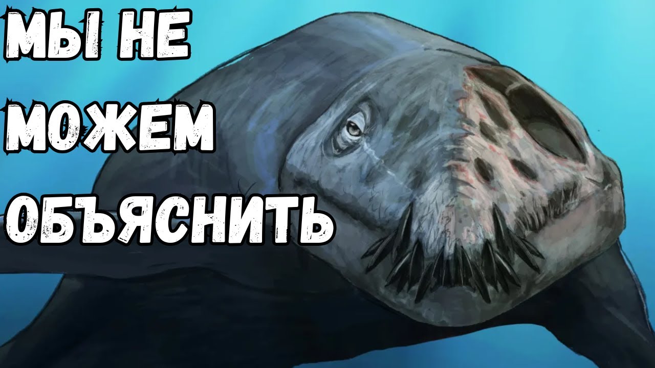 Доисторические Животные, Сохранившиеся Так Хорошо, Что Выглядят Будто Умерли Вчера