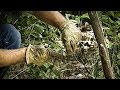 Old School: Setting Up A Snare Set In Wood Areas