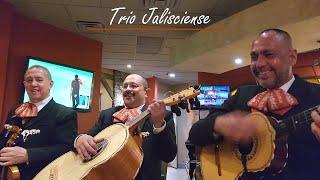 Trio Jalisciense - La Negra Tomasa (sample clip)