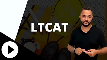 O que deve constar na Ltcat?