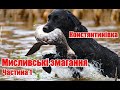 Мисливські змагання - Констянтинівка | Частина 1