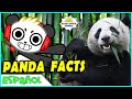 Aprenda los datos de Panda con el video educativo Combo Panda