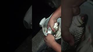 hasil mancing tehnik \