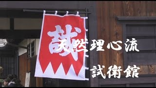 試衛館2015 天然理心流tennenrishinryu