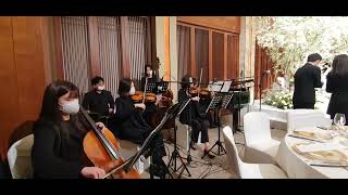 (신라웨딩)신데렐라ost-La Valse champagne