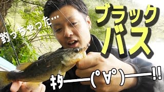 沖縄にいないと言われていたブラックバスが遂に釣れた 　＃1