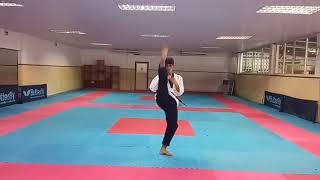 Sebastian Figuera / Venezuela / Poomsae taeguk pal yang