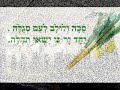 סוכה ולולב - פרחי ירושלים