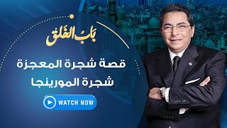 باب الخلق | الجمعة 25 يونيو 2021 -  كشف أول جهاز 