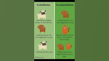 Piaget theory of Cognitive Development | Piaget 4 stages of cognitive development