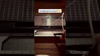 Barış Manço - Dönence Stylophone Edition🔥 Işmanço Önence