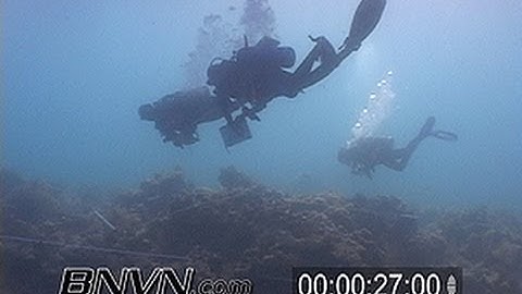6/23/2007 Coral Reef Monitoring and Research Video.