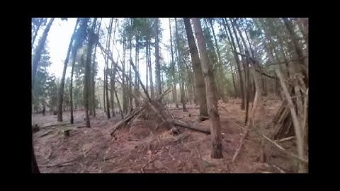 Tinyhawk 2 insta360 go London fpv taranis qx7 aomway commander v1 cinewoop fpv stabilisation