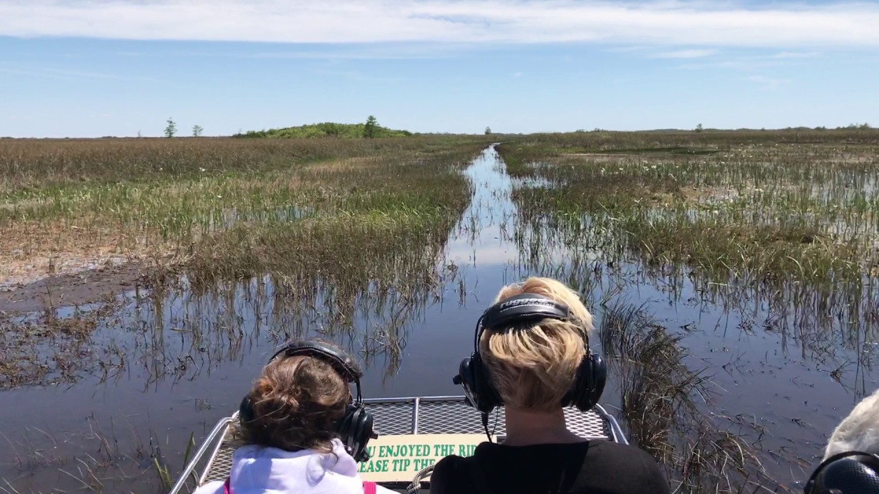 Down South Airboat Tours