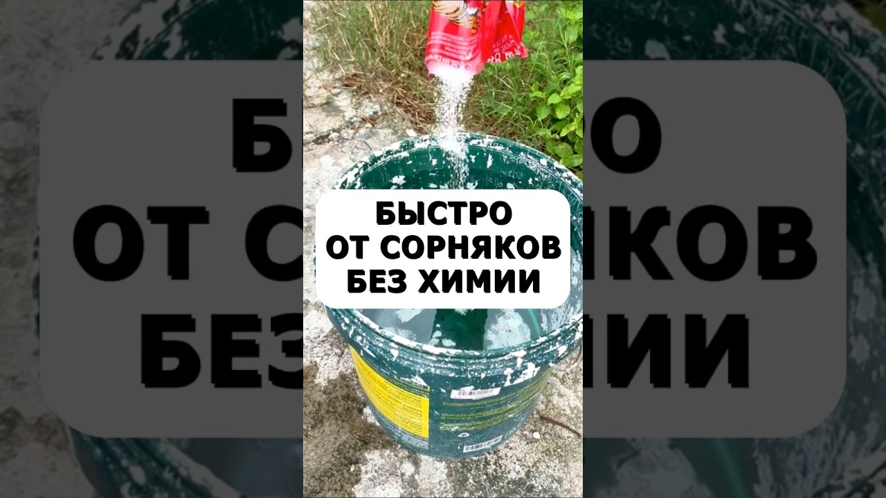 Быстрое средство от сорняков без химических препаратов #огород #дача #сад #участок #лайфхак #сорняки