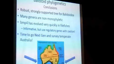 McCord: Phylogenetics and biodiversity of cranial ...