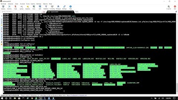 8 - Upgrading HanaDB 1.0SP12 to HanaDB 2.0SP03 - Part 2