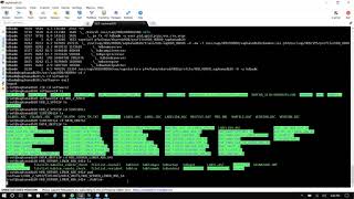 8 - Upgrading HanaDB 1.0SP12 to HanaDB 2.0SP03 - Part 2