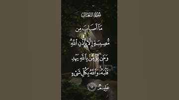 اجمل صوت طفل بقراءة القرآن الكريم ماشاء الله 2022
