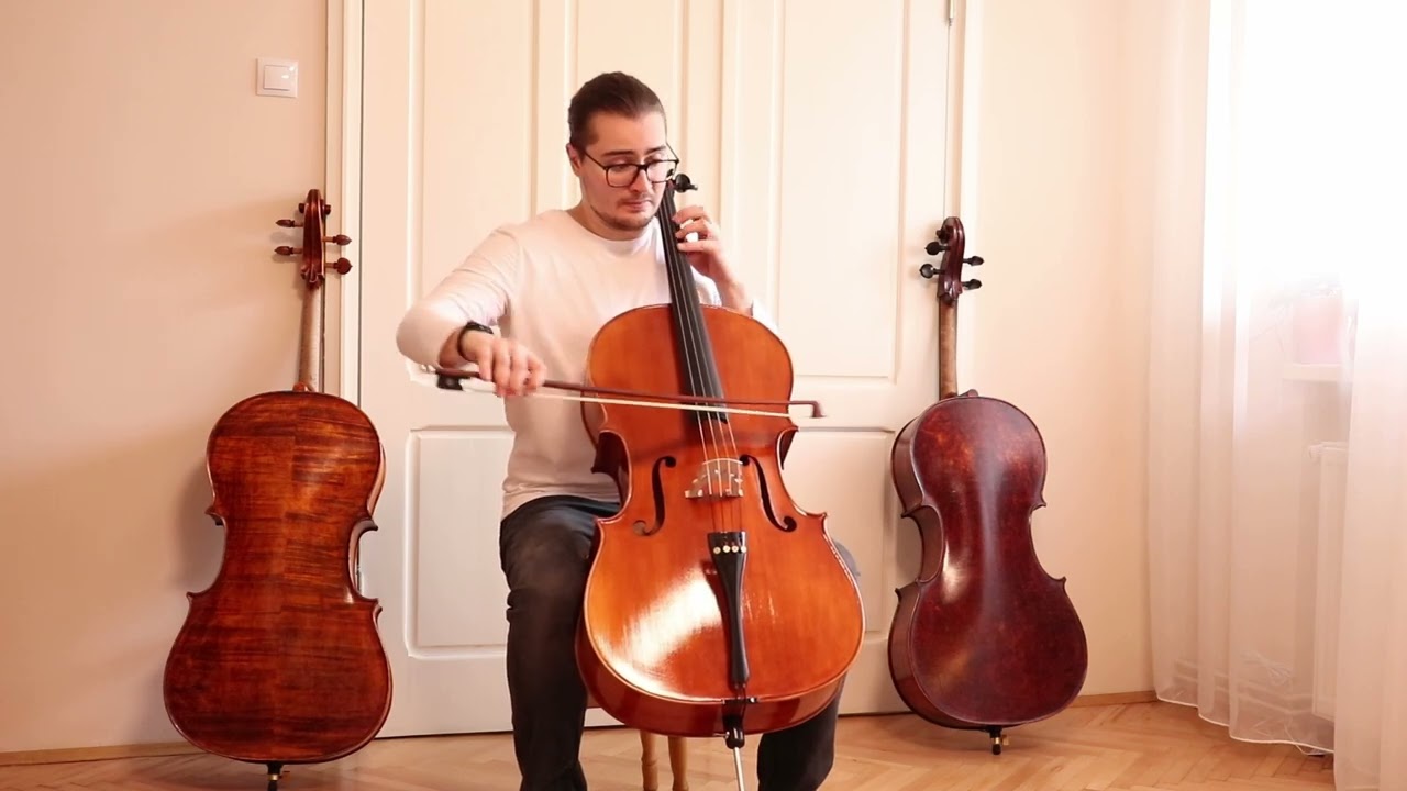 Professional Highly Flamed Maple Goffriller Cello by Vivarius Workshop # 81