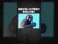 ゴリラが弱すぎる~お腹よわよわ動物~