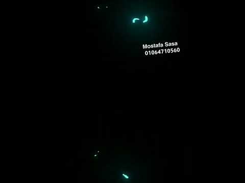 مهرجان في المحلسه ياض ملناش حاله واتس عصام صاصا