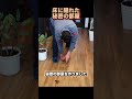 床に隠れた秘密の部屋 😱