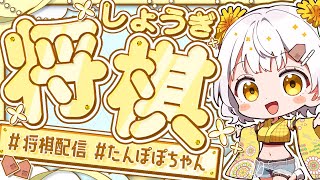 たんぽぽちゃん / 将棋アイドルの配信のサムネイル画像