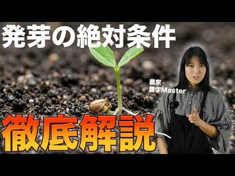 【図解】発芽の仕組み【芽がでる植物生理学】ﾄﾏﾄ､ﾅｽ､ﾋﾟｰﾏﾝ､ｷｭｳﾘ､ｶﾎﾞﾁｬ､ﾒﾛﾝ､ｽｲｶ､ﾄｳｶﾞﾗｼ､ｼｼﾄｳ､ﾊﾟﾌﾟﾘｶ他