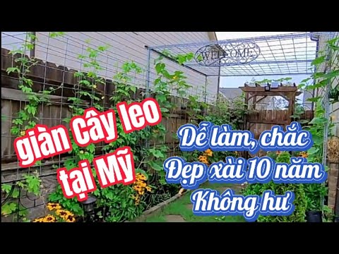 Video ????????Atlanta ????Cách làm giàn mướp- bầu bí đơn giản nhất... - youtube