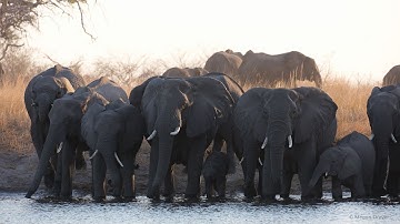 Exposure Editing - Fixing Underexposure