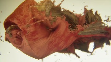 Cloth Test_2 Motion Graphics // C4d Pyro, Cloth and Octane Render