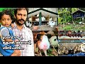 Mixed farm in kerala || Guppy || Pigeon || Duck || Chicken || Gini panni