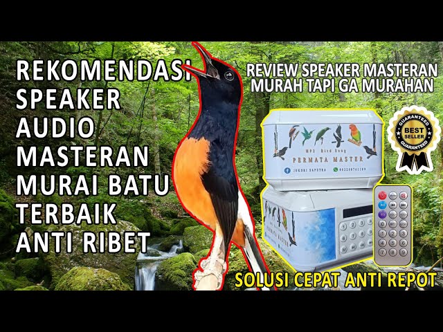 REKOMENDASI MASTERAN MURAI BATU TERBAIK || REVIEW SPEAKER MP3 MASTERAN BURUNG KICAU ZB 800 BT class=