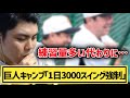 【平良海馬】巨人秋季キャンプ「1日3000スイング強制」について【切り抜き】