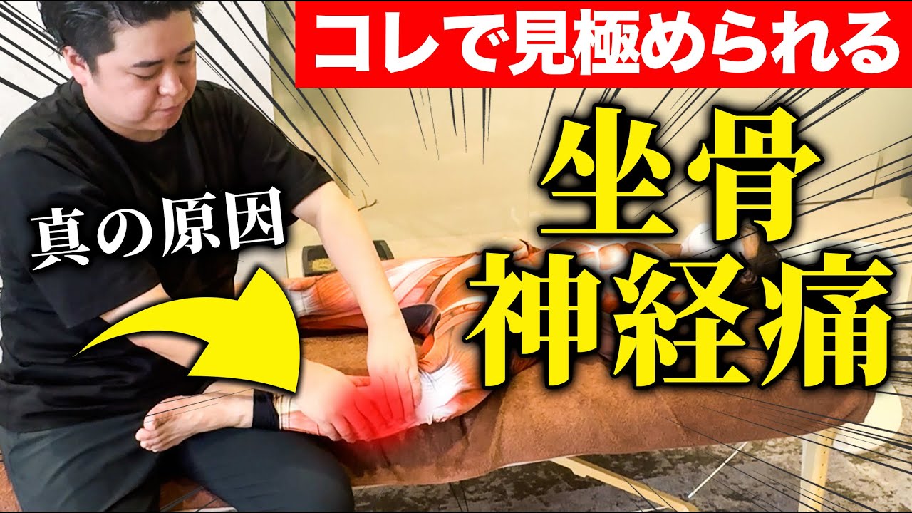 【※全治療家必見】見るだけで坐骨神経痛の種類が見極められる㊙治療テクニックを徹底解説します！！