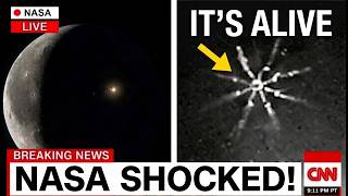 Details The NASA Probe That Photographed Something Moving on the Moon's Far Side Guide
