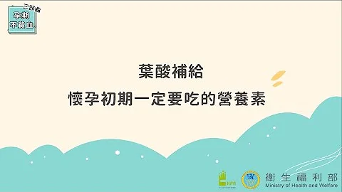 葉酸補給-懷孕初期一定要吃的營養素 - 天天要聞