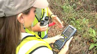 The Lively Report - Meter Reader