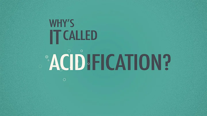 What is Ocean Acidification?