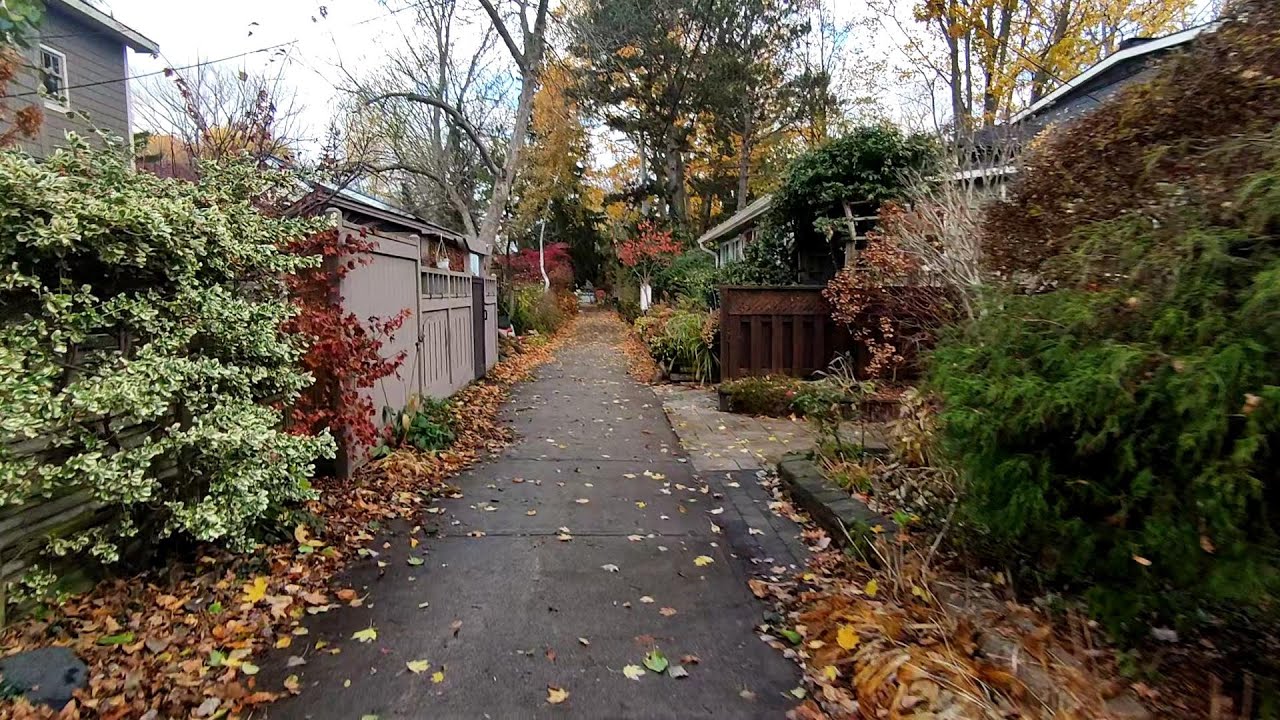 ward's island in autumn