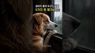 나가기전 5가지 습관이 우리 강아지 하루를 바꿉니다 | 분리불안 줄이기