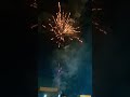 support 🎆🎇 #shorts #fireworkdisplay #fireworks #shortvideo #viralshorts #viral #viralshort