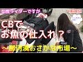 【CB400SB】女性ライダーですがお魚ツーリング~那珂湊おさかな市場~