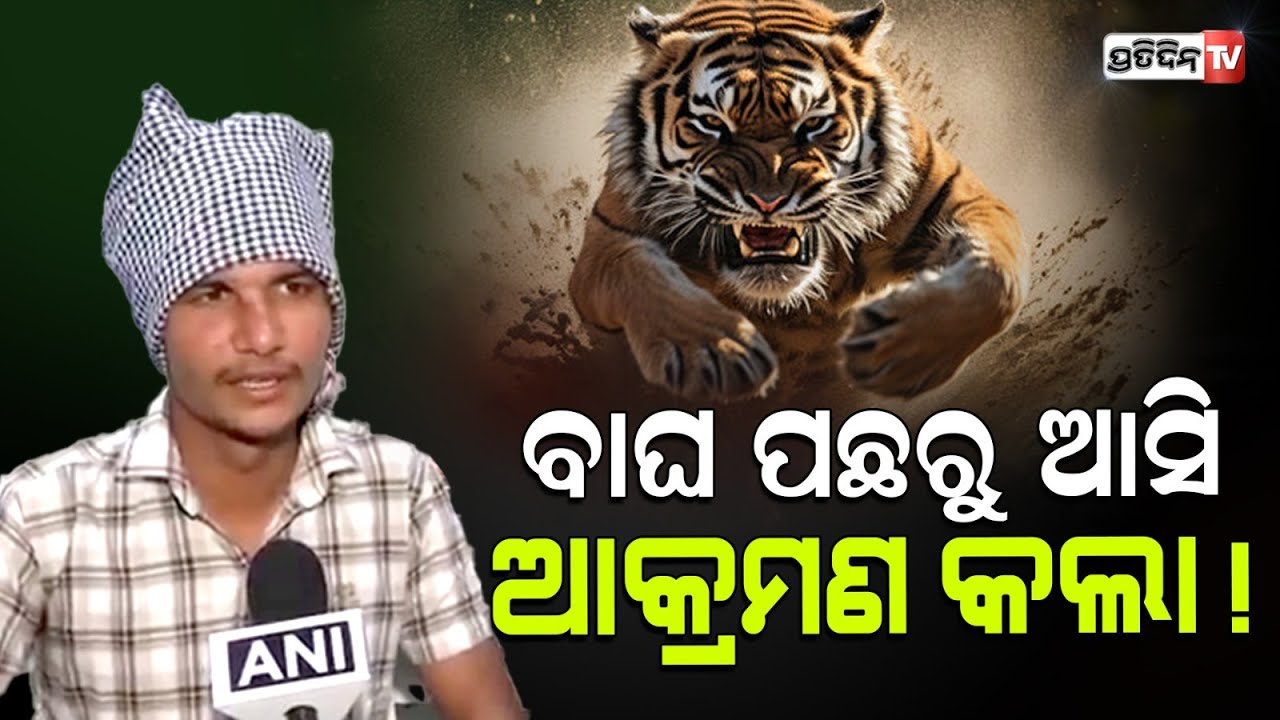ଅଙ୍କିତ କହିଲେ ବାଘ ମୁହଁରୁ କେମିତି ବଞ୍ଚିଲେ ? Ankit Ku. who survived a tiger attack amnagar, Uttarakhand.