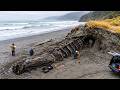 Archaeologists Unearthed Something in New Zealand That Doesnt Match Human History
