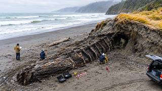 Archaeologists Unearthed Something in New Zealand That Doesnt Match Human History