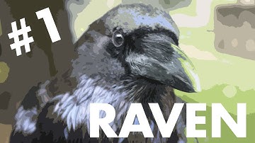 Dirty snappy unison & grunge soaked drums // birdkids RAVEN prototype patches #1