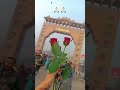 #khatu #shyam 🙏🏻🙏🏻🙏🏻🙏🏻🌹🌹🌹🌹🌹🙏🏻🙏🏻🙏🏻🌹🌹🌹🌹